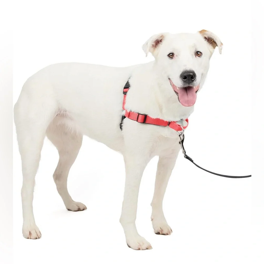PetSafe, Easy Walk Deluxe Dog Harness, No Pull Dog Harness – Medium/Large, Rose